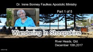 (Part 1 of 5) Wandering in sheepskins