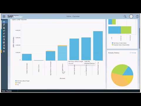 SAP Business ByDesign customer reporting dashboard, KPI and simulation