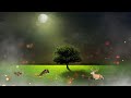 Background Video Flower Background Video Background Video Effects Hd Template Video Background