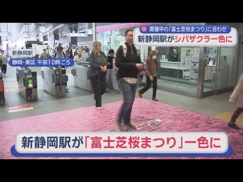 YouTube Video 新静岡駅が改札前がシバザクラ一色に　山梨県富士河口湖町の「富士芝桜まつり」にあわせ　静岡市