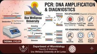 PCR