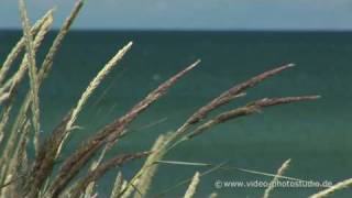 preview picture of video 'Ostsee Zingst HD'