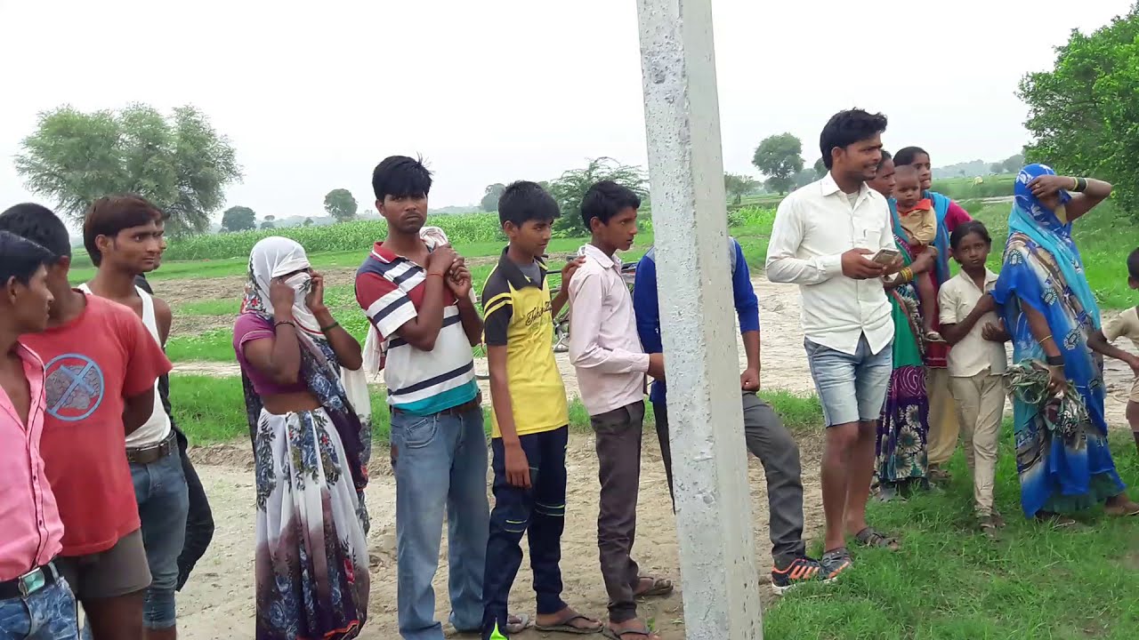 Python eats Alligator 02, Time Lapse Speed x6