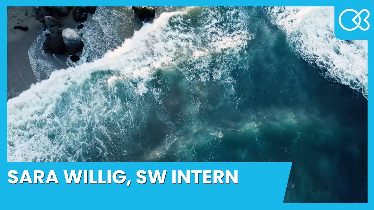 Sara Willig | Book a Session | Therapist in Boro Park, NY