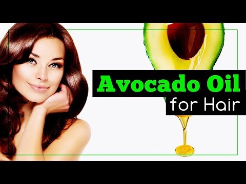 download lagu mp3 mp4 Is Avocado Oil Good For Hair, download lagu Is Avocado Oil Good For Hair gratis, unduh video klip Is Avocado Oil Good For Hair