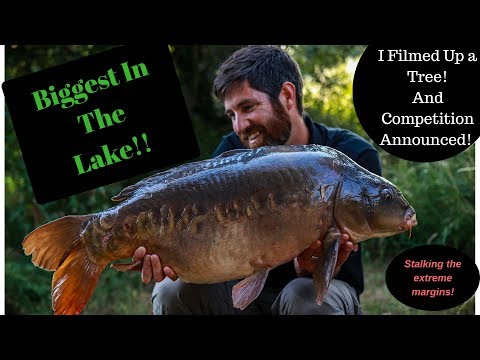 Carp Fishing ~ Stalking Carp (Update and Competition announced) Video