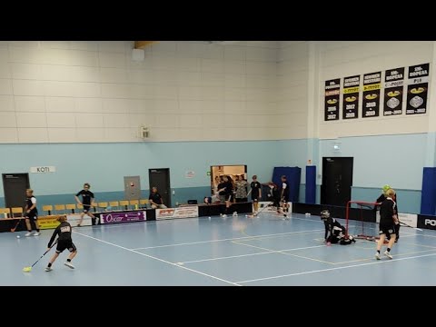 SBS Wirmo P17 - Classic