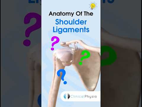 Shoulder Ligaments #physiotherapy #physicaltherapy #shoulder #anatomy #upperlimbanatomy