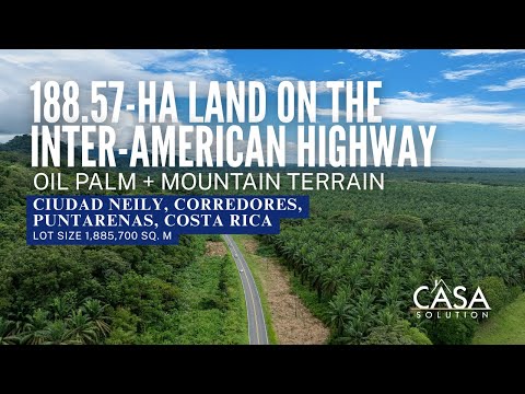 188.57 HA for Sale in Ciudad Neily, Corredores, Puntarenas – Costa Rica Land Investment Opportunity