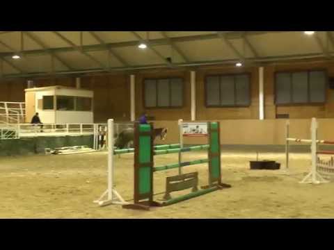 ELMO 2009 KWPN  Larino / Calvino Z