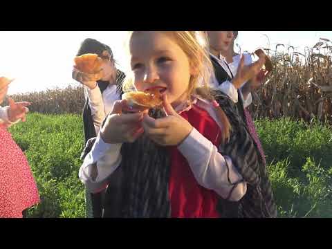 Forgatási napló - Csicsó I. rész