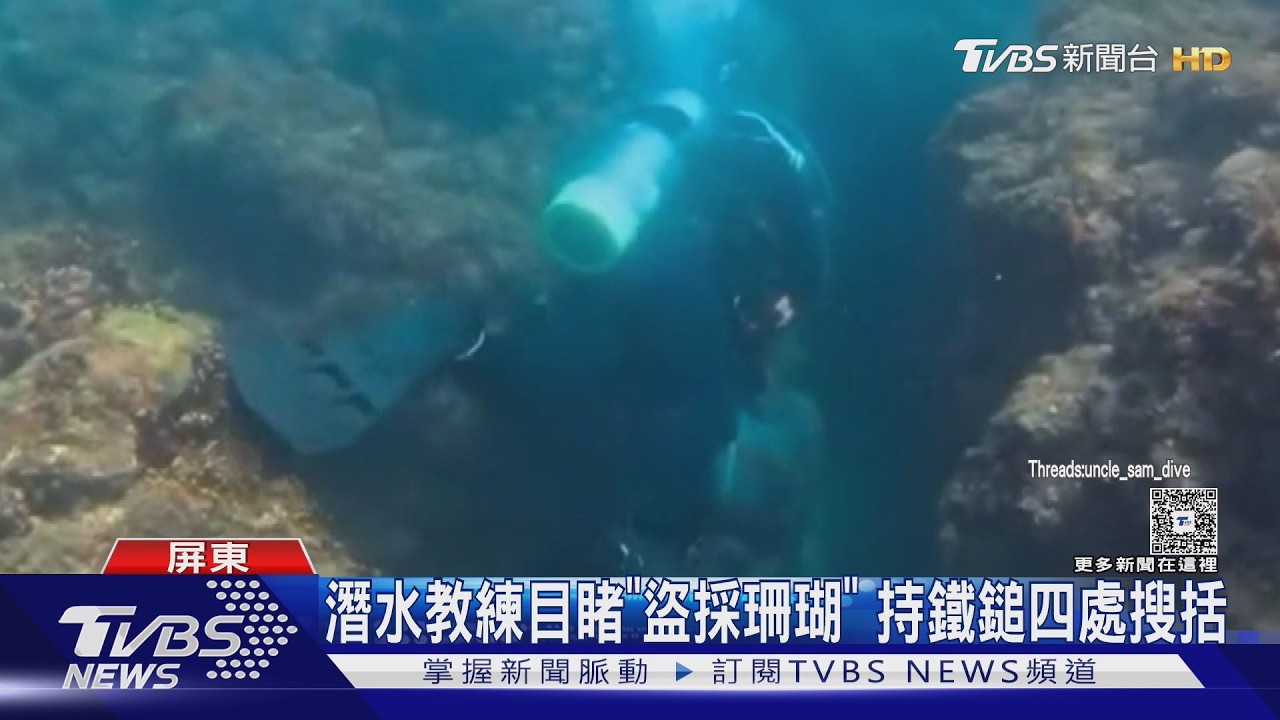 影音/墾丁國家公園內潛點遇「盜採珊瑚」 最高可關三年 開罰15萬