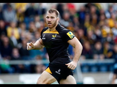Welcome To Wasps - Lorenzo Cittadini