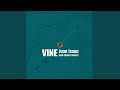 Vine