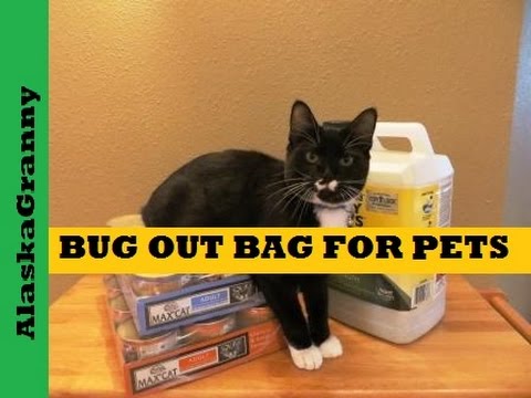 Bug Out Bag for Pets- Prepping for Pets Dogs Cats