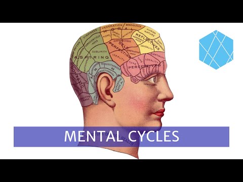 Mental Cycles - Learning through theory vs. practice