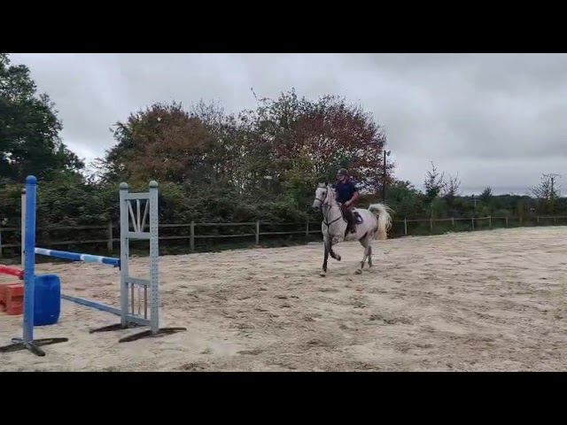 Beau SF de 8 ans 