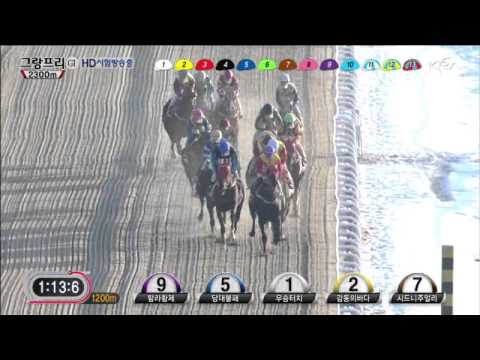 Grand Prix Stakes (KOR G1) - Seoul Race Park - 2300M - Gamdonguibada