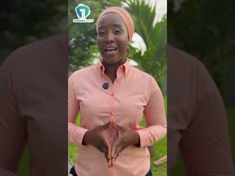 Bagbin on LGBTQ+ Bill, Wontumi’s Plea Bargain & AfCFTA Support | News Wrap – June 11, 2026