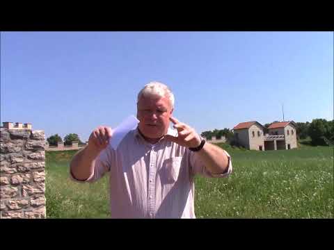 19 Völkerwanderung, die spanische Meise zwitschert kurz schwäbisch