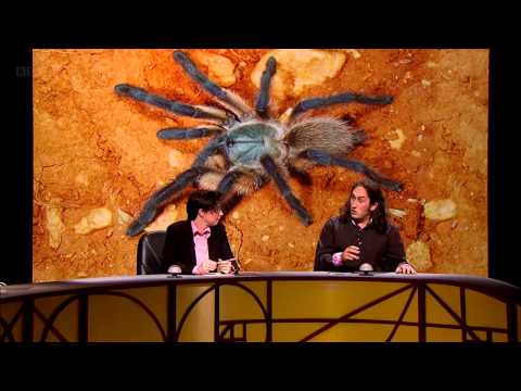 QI XL Series 10 Episode 09 - Jeopardy