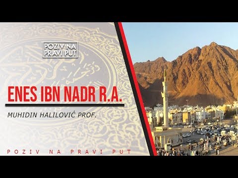 ENES IBN NADR r.a. - Muhidin Halilović, prof. ᴴᴰ┇Poziv na pravi put
