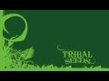 Tribal Seeds - Creator [OFFICIAL AUDIO]