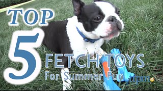 Top 5 Fetch Toys for Summer - 2016 Fun
