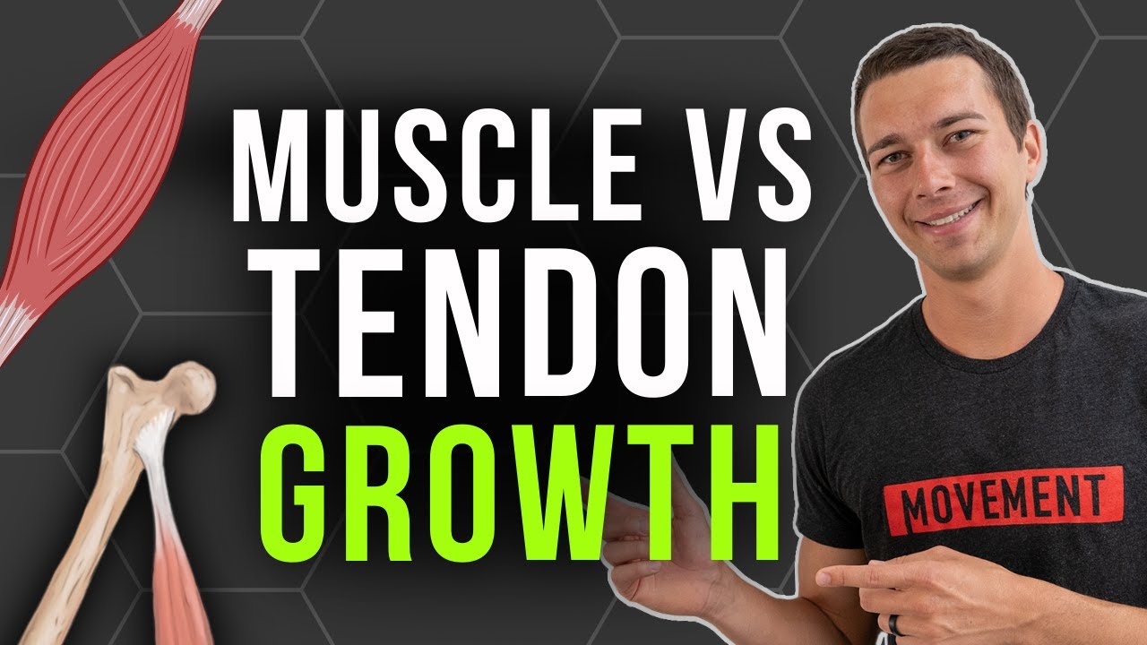 How to Build Tendon Strength vs. Muscle Strength