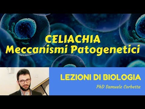 Protrusione di ernia del rachide cervicale Forte dolore nella parte sinistra della schiena sotto le costole