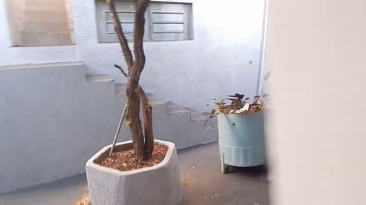 aluga se casa em Santa Fé do Sul - SP