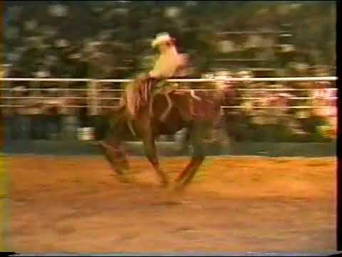 Rodeio Marcos Bueno Ribeirão Claro - PR - 1998 - 1