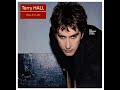 Terry Hall - I Saw The Light
