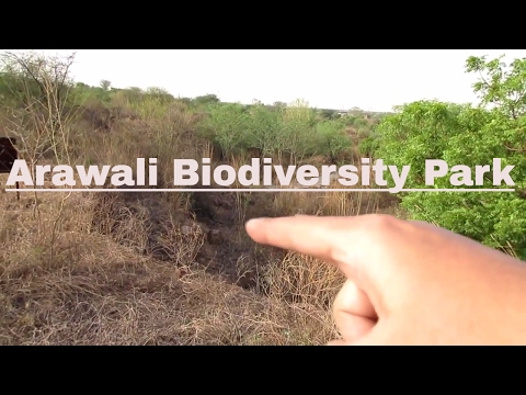 download lagu mp3 mp4 Biodiversity Park In Delhi, download lagu Biodiversity Park In Delhi gratis, unduh video klip Biodiversity Park In Delhi