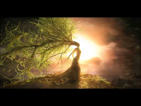 Körper Experiment Eckhart Tolle (intensives Wahrnehmen)