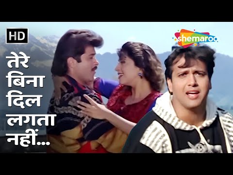 Tere Bina Dil Lagta Nahin — watch video