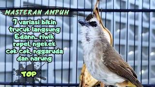Download lagu Trucukan Gacor Ropel Variasi ini Sangat AMPUH untuk Pancingan Trucuk BAHAN dan Masteran Trucuk Macet mp3