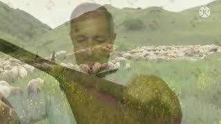 ŞeirQadasın alım Söz  Yeganə Məmmədova Saz  Aşıq Gəncəli Babayev Mixəyi havası