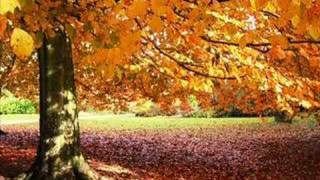 Emotional Horizons -  Autumn (Original Mix)