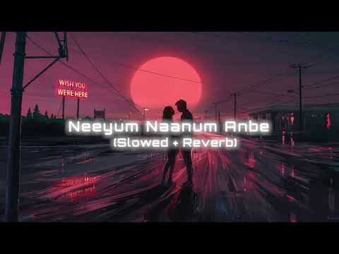 Neeyum Naanum Anbe - Slowed + Reverb