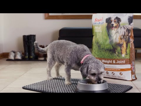NEW Specialty Dog Food | Blain's Farm & Fleet