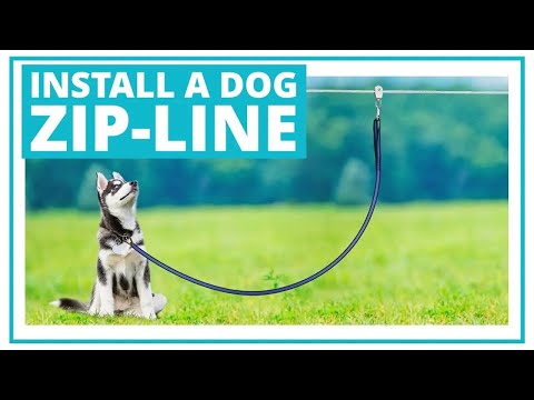 Install a Dog Zip-line Tie out