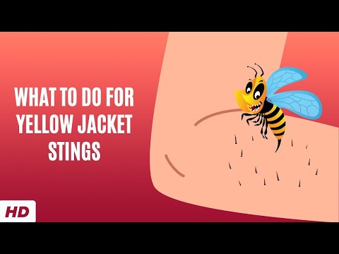 All About Allergy Shots