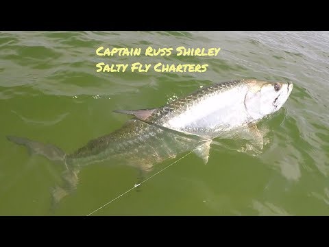 Tarpon Fly Fishing St. Petersburg 2018