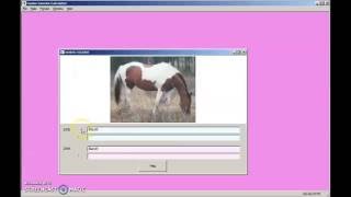 Equine Genetic Calculator - Getting Started