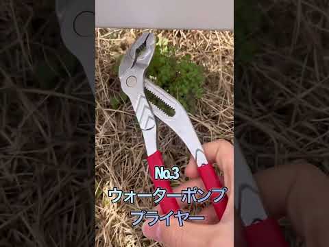 一般的な庭の雑草を写真で見分ける方法