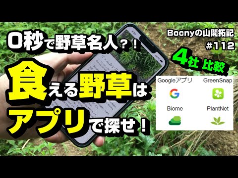植物を認識する: 2022 年のベスト アプリ