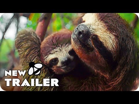 Earth: One Amazing Day (2017) Official Trailer