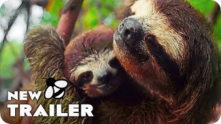 Earth - One Amazing Day Trailer (2017) Nature Documentary Movie