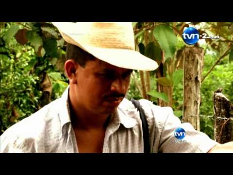 Rafael Rodríguez - "El Cantor de las Mujeres" | TVN Panamá